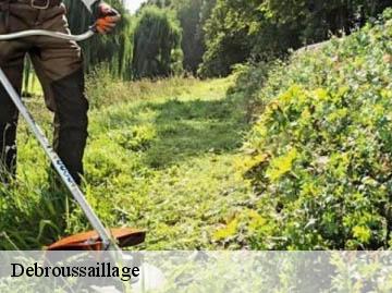 Debroussaillage