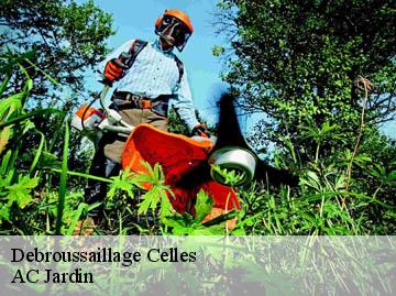 Debroussaillage celles-34800 AC Jardin