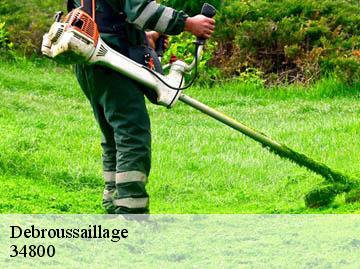 Debroussaillage 34800