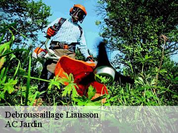 Debroussaillage liausson-34800 AC Jardin