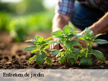 Entretien de jardin