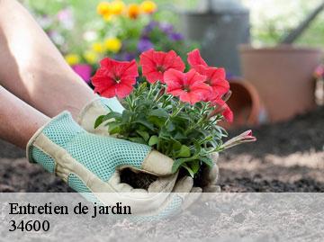 Entretien de jardin  34600