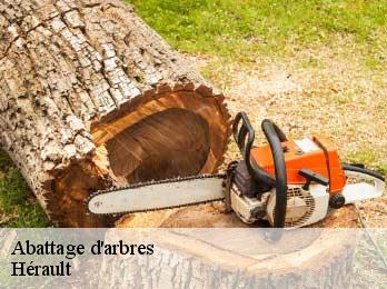 Abattage d'arbres Hérault 