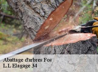 Abattage d'arbres  fos-34320 L.L Elagage 34 