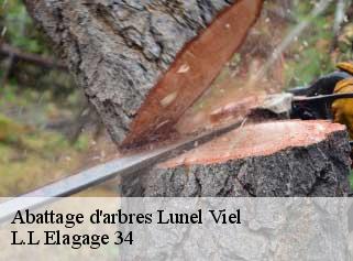 Abattage d'arbres  lunel-viel-34400 L.L Elagage 34 