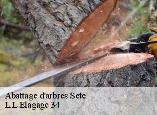 Abattage d'arbres  sete-34200 L.L Elagage 34 