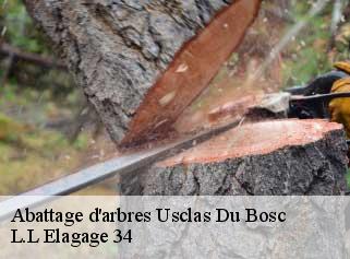 Abattage d'arbres  usclas-du-bosc-34700 L.L Elagage 34 