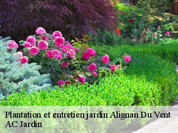Plantation et entretien jardin alignan-du-vent-34290 AC Jardin