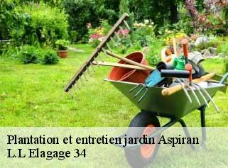 Plantation et entretien jardin  aspiran-34800 Beaumann