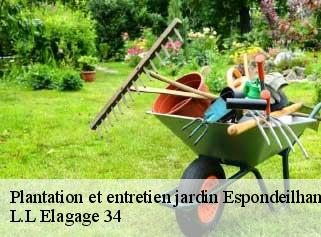 Plantation et entretien jardin  espondeilhan-34290 L.L Elagage 34 