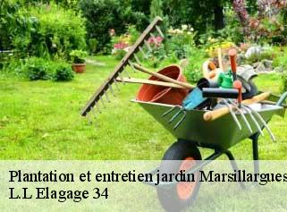 Plantation et entretien jardin  marsillargues-34590 L.L Elagage 34 