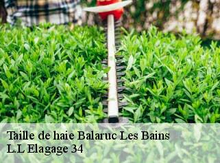 Taille de haie  balaruc-les-bains-34540 L.L Elagage 34 