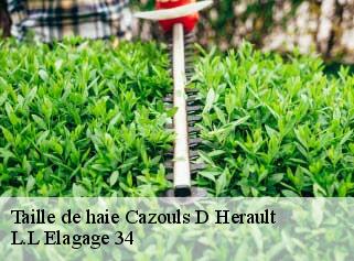 Taille de haie  cazouls-d-herault-34120 L.L Elagage 34 