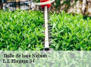 Taille de haie  nebian-34800 L.L Elagage 34 