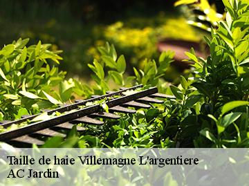 Taille de haie villemagne-l-argentiere-34600 AC Jardin