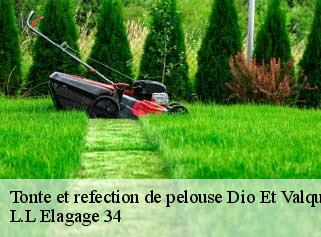 Tonte et refection de pelouse  dio-et-valquieres-34650 L.L Elagage 34 