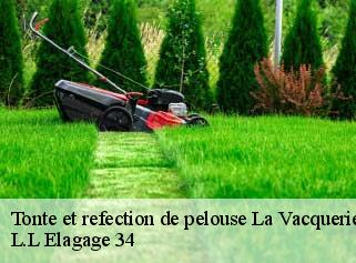 Tonte et refection de pelouse  la-vacquerie-et-saint-martin-34520 L.L Elagage 34 