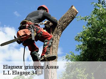 Elagueur grimpeur  assas-34820 L.L Elagage 34 