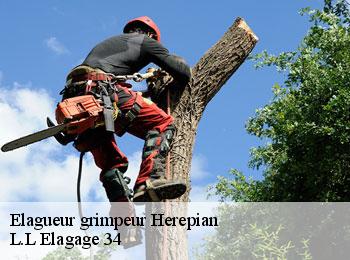 Elagueur grimpeur  herepian-34600 L.L Elagage 34 