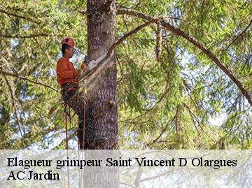 Elagueur grimpeur saint-vincent-d-olargues-34390 AC Jardin