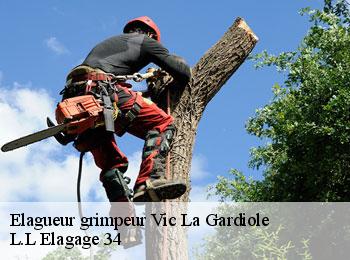 Elagueur grimpeur  vic-la-gardiole-34110 L.L Elagage 34 