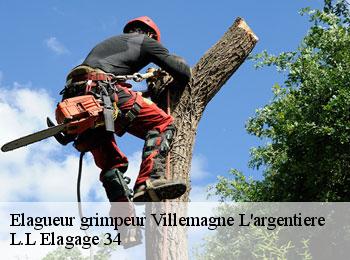 Elagueur grimpeur  villemagne-l-argentiere-34600 L.L Elagage 34 