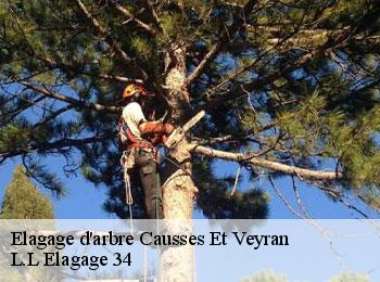 Elagage d'arbre  causses-et-veyran-34490 L.L Elagage 34 
