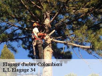 Elagage d'arbre  colombiers-34440 L.L Elagage 34 