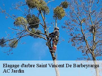 Elagage d'arbre saint-vincent-de-barbeyrargu-34730 AC Jardin
