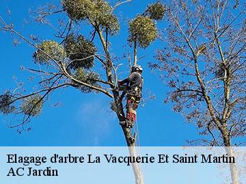 Elagage d'arbre la-vacquerie-et-saint-martin-34520 AC Jardin