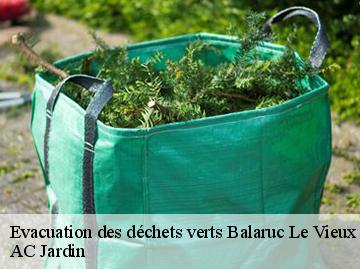 Evacuation des déchets verts balaruc-le-vieux-34540 AC Jardin