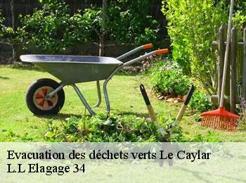 Evacuation des déchets verts  le-caylar-34520 L.L Elagage 34 