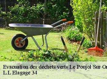Evacuation des déchets verts  le-poujol-sur-orb-34600 L.L Elagage 34 