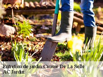 Entretien de jardin  causse-de-la-selle-34380 AC Jardin